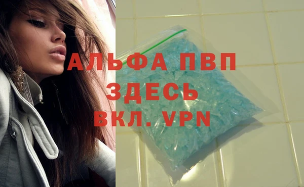 гашик Баксан