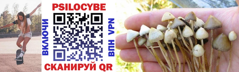 Галлюциногенные грибы Cubensis  Удомля 